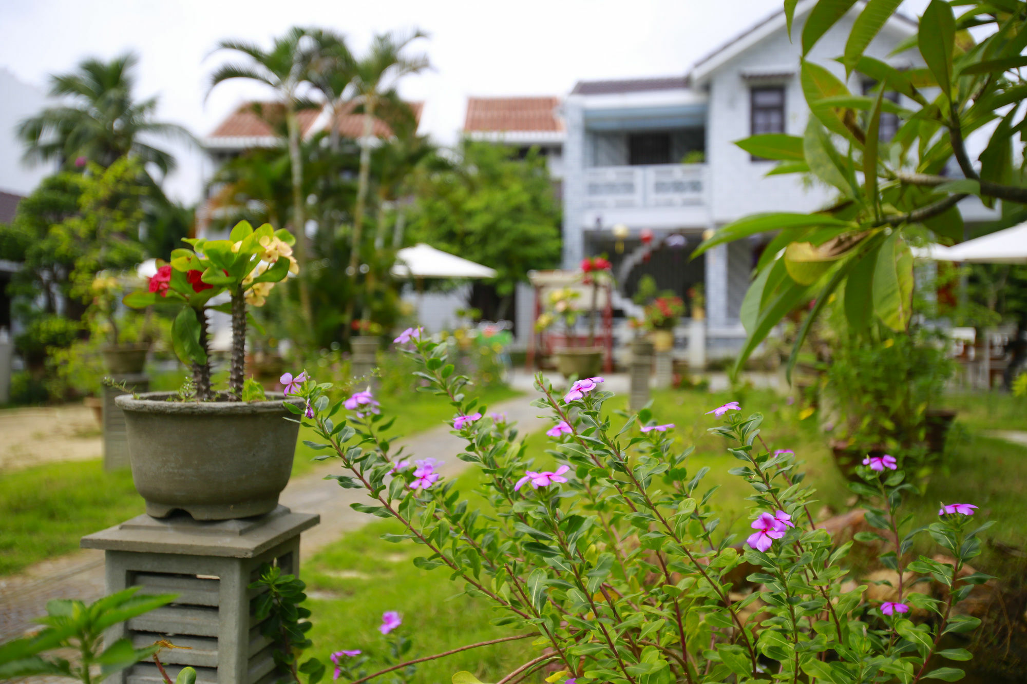 Mr Tho Garden Villas Hoi An Exterior foto